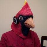 Birdmaster Kevin - RWDFM Broadcast 007
