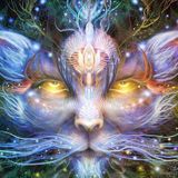 Mystic chill