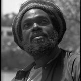 The Wailers - Jan. 11, 2013 LC Pavilion Columbus, Oh. "Survival" Live
