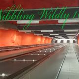 Nibbling Wildly 16 - Guestmix By Darole - Progression Mix