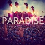 Tomorrowland 2013 Warm Up - D-Melo Exclusive