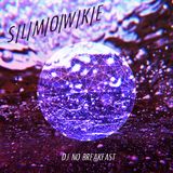 S/L/M/O/W/K/E - M.V.D.X. radio show n°73 - 05/06/13 - radio FMR 89.1