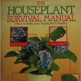House Plant