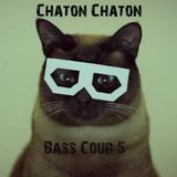 Bass cour 5