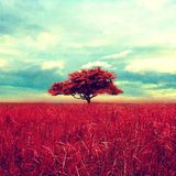 Chill-Out Sunday - Episode 5