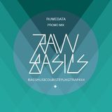 Ruwedata - Raw Basics promomix