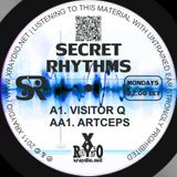 Visitor Q - Now Modern Electronics (Secret Rhythms #42)