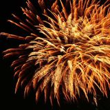 Silvester Bums 2015