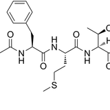 Endoerphin