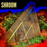 SHROOM Podcast 16