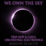We Own the Sky - Trip-Hop and Chill Orchestral Electronica