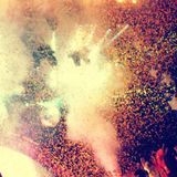 THE BESTIVAL PROJECT, 2011