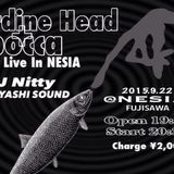 Live in Nesia sardine head+bocca (2015/09/22)