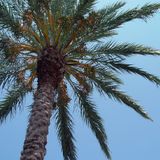 DJ G-Funk Spring Mix 2011 - feat. Quantic, Nickodemus, Louie Vega - http://garethfunk.wordpress.com/