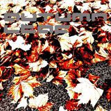 Mike Stern - Autumn Leaf for BSide Show (29.10.2012)