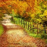Mix sessions Pt 3 - Autumnal Equinox