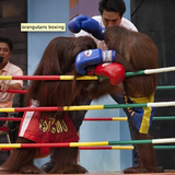 MonkeyTimeRadioHour_19-Sept-2012