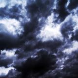 First Fly Chapter 5