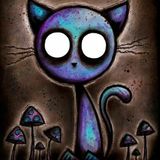 High Cat