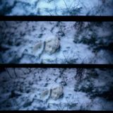 omnia vincit amor by Slurm