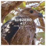 SUBZERO#37 2nd hour - Pinky Murakami