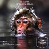 Monkey Breaks Everything by DJ Yadam