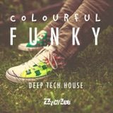 Funky Deep - Colourful Tech House Mix 2013