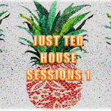 Just Ted House Sessions 1