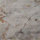 November Mixtape 2013