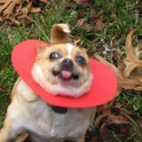 waking up today