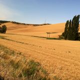 075 - 2016-01-14 - Waves of Grain
