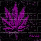 A Purple Haze