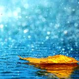 DJ Shongaku - Chill Rainy Mix