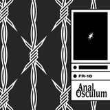 FR18 – Anal Osculum