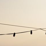 The Sunday mix. A restful music mix for a pleasant sunday.