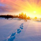Melly Lou pres. Cold Sun