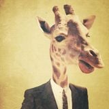 Minimalistic/Animalistic