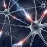 Circadian Rhythm