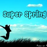 MrVinyl - Super Spring