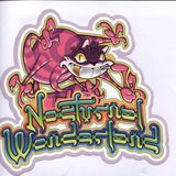 Discovery Project: Nocturnal Wonderland 2013