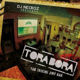 Dj Necroz-VISITING TORA BORA