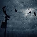 Rainy Day Feeling
