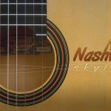 Les Femmes dans la musique Country