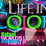 Life in Color Contest Set