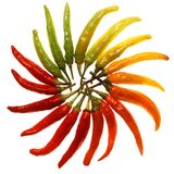 Chilli