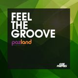 DJ Jose Fuentes - Feel The Groove (Pazland 2015)