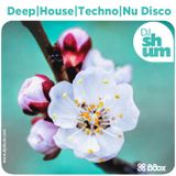 DJ Shum - Spring Mix | Deep | House | Techno | Nu Disco