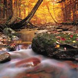 DerHerbstMachtEinfachWasErWill
