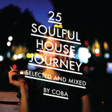 Soulful House Journey 25