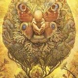 The Butterfly Effect 07.06.14